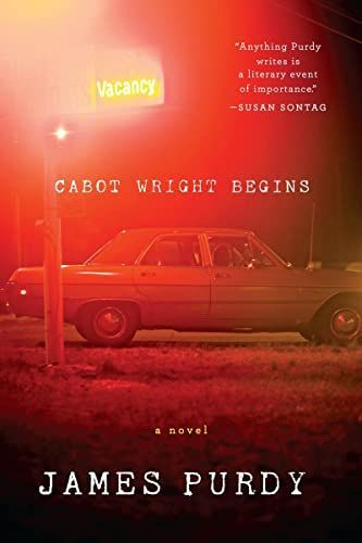 Cabot Wright Begins: A Novel