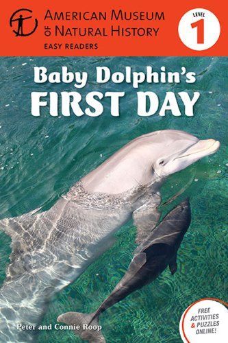 Baby Dolphin's First Day