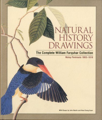 Natural History Drawings