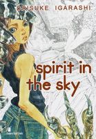 Spirit in the sky