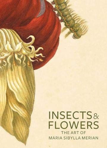 Insects & Flowers