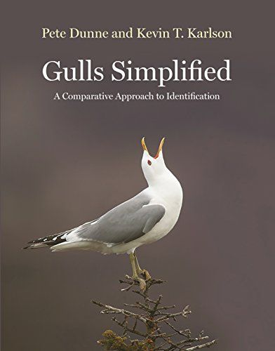 Gulls Simplified