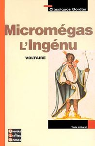 Micromégas
