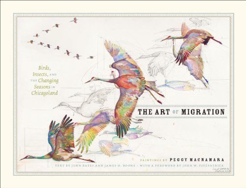 The Art of Migration