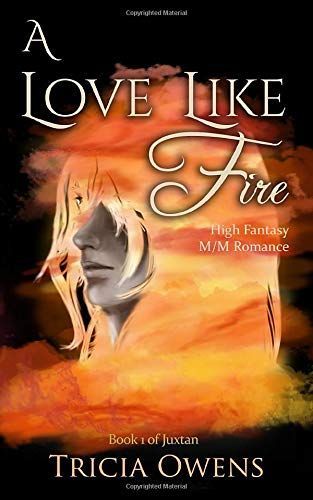 A Love Like Fire: High Fantasy M/M Romance