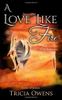 A Love Like Fire: High Fantasy M/M Romance