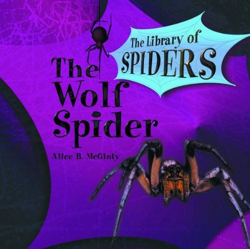 The Wolf Spider