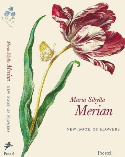 Maria Sibylla Merian