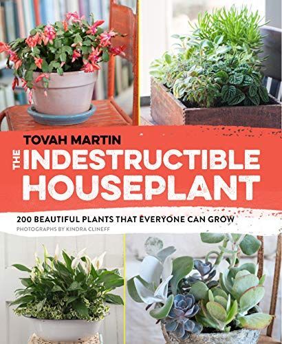 The Indestructible Houseplant