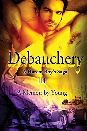 Debauchery a Harem Boy's Saga