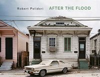 After the Flood