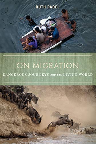 On Migration
