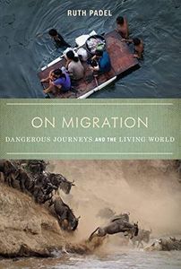 On Migration