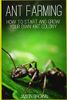 Ant Farming