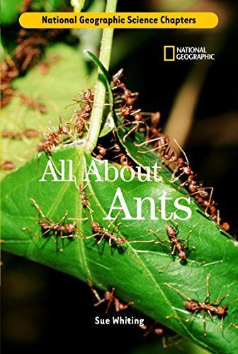 All about Ants