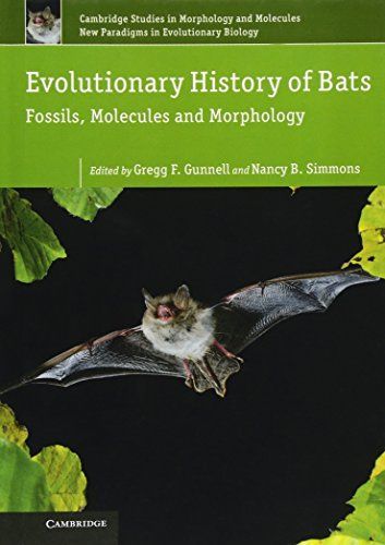 Evolutionary History of Bats