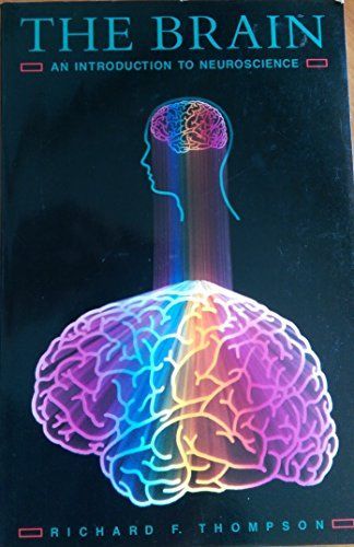 The Brain