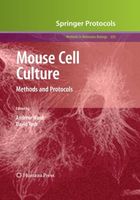 Mouse Cell Culture