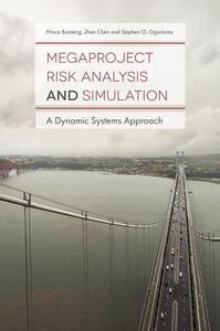 Megaproject Risk Analysis and Simulation
