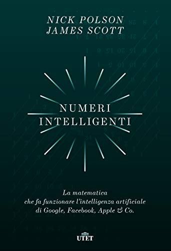 Numeri intelligenti. La matematica che fa funzionare l'intelligenza artificiale di Google, Facebook, Apple & Co.