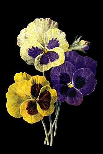 Vintage Pansy Flowers: Pansies Flower Drawing Notebook - Lined 120 Pages 6x9 Journal