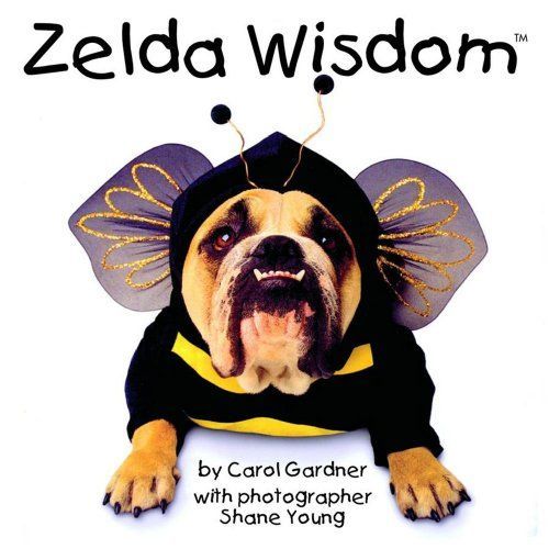 Zelda Wisdom