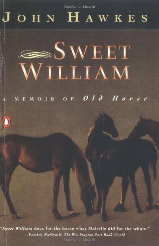 Sweet William