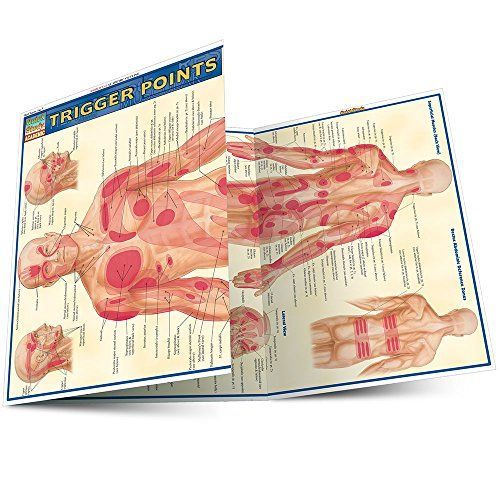 Trigger Points Quick Reference Guide