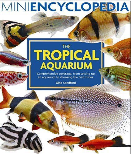 The Tropical Aquarium