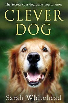 Clever Dog - The Secrets Your Dog Wants You to Know