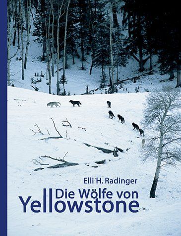 Die Wölfe Von Yellowstone