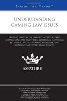 Understanding Gaming Law Issues