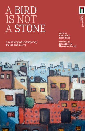 A Bird Is Not a Stone