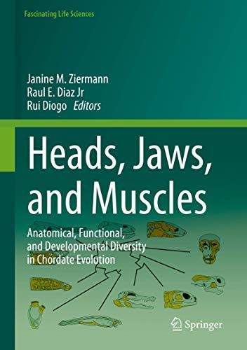 Heads, Jaws, and Muscles