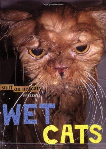 Wet Cats