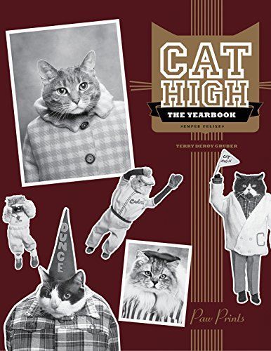 Cat High