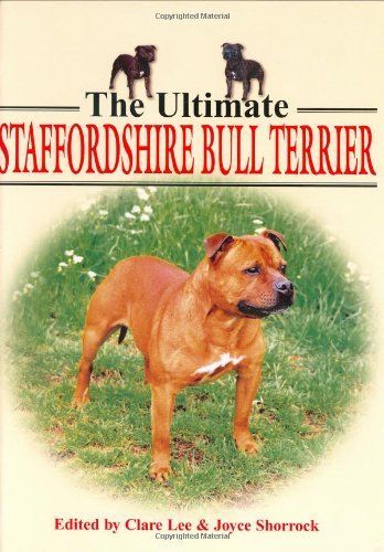 The Ultimate Staffordshire Bull Terrier