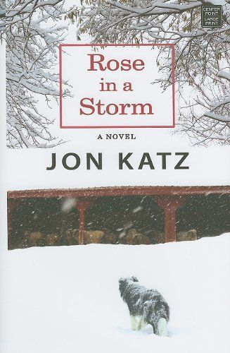 Rose in a Storm