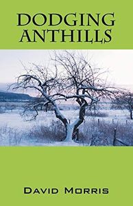 Dodging Anthills