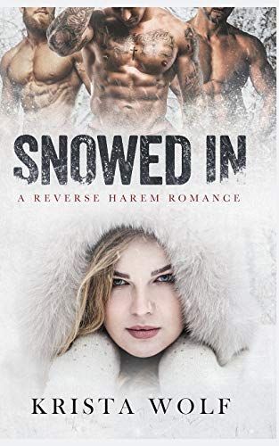 Snowed in - a Reverse Harem Romance