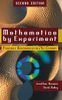 Mathematics by Experiment, 2nd Edition