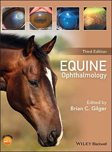 Equine Ophthalmology