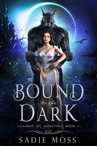 Bound to the Dark