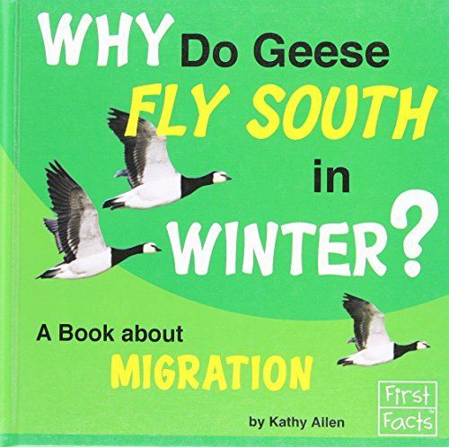 Why Do Geese Fly South in Winter?