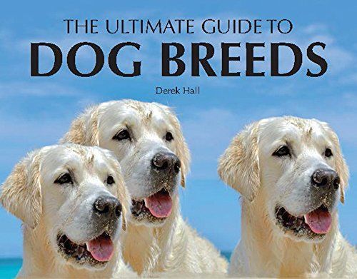 Ultimate Guide to Dog Breeds