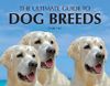 Ultimate Guide to Dog Breeds