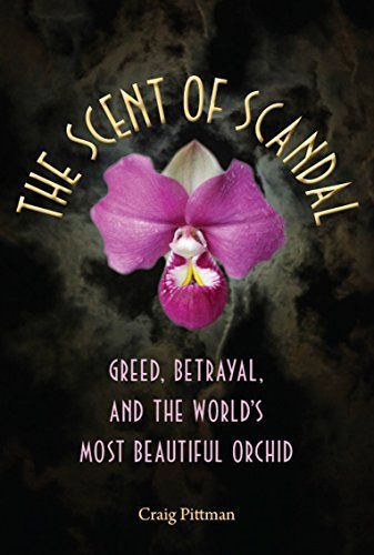 The Scent of Scandal