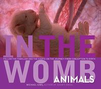 In the Womb