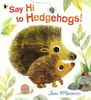 Say Hi to Hedgehogs!