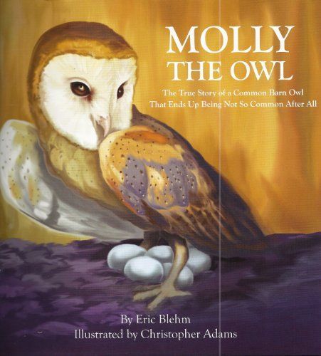 Molly The Owl